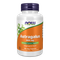 Astragalus 500 mg - 100 vegán kapszula - NOW Foods