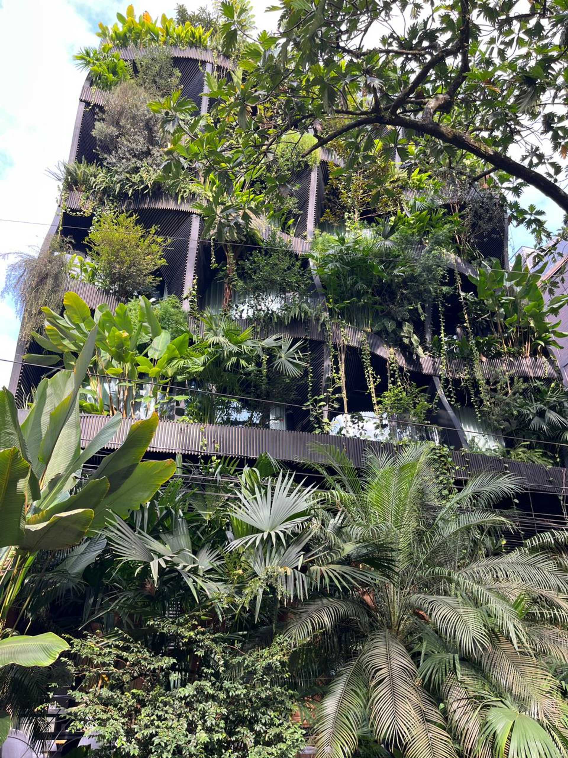 Provenza street in El Poblado, with shops, cafés, and urban energy under the sun