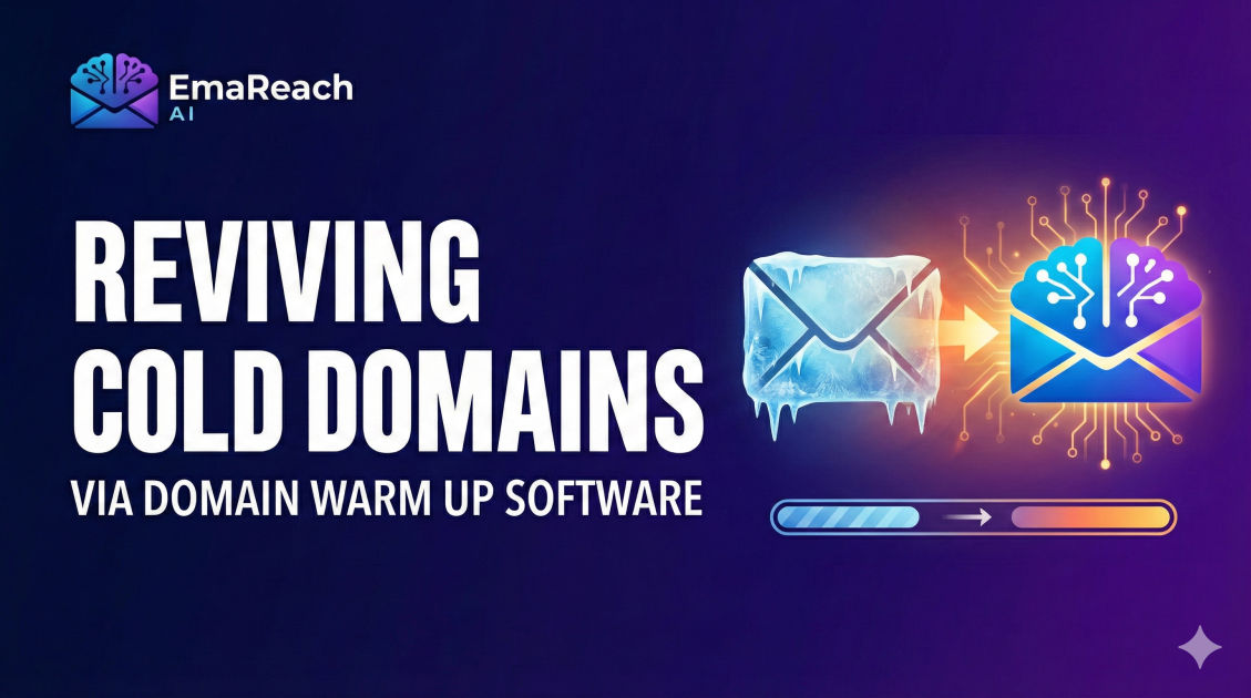 Reviving Cold Domains via Domain Warm Up Software
