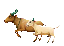 EMASTOTO