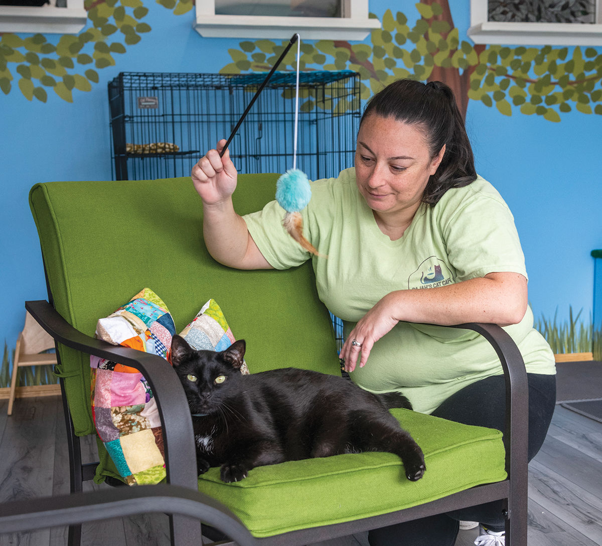Bajah S Cat Cafe Offers Customers Chance To Adopt Furry Felines Providence Business News