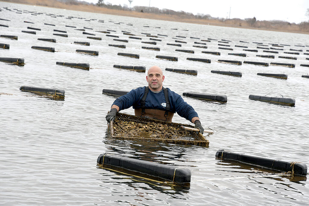 BLUE GROWTH: Rhode Island’s ocean-based economy is poised for growth. It includes wind energy, boating, manufacturing and seafood, among other products and services. Above, Perry Raso, owner of Matunuck Oyster Bar in South Kingstown, pulls up oysters from his oyster farm in 2020.  PBN FILE PHOTO/MIKE SKORSKI