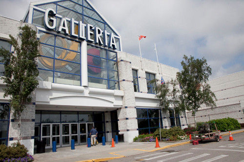Gallerìa Shop Go Wild! Theming at Hatfield Shopping Centre -Soft Play