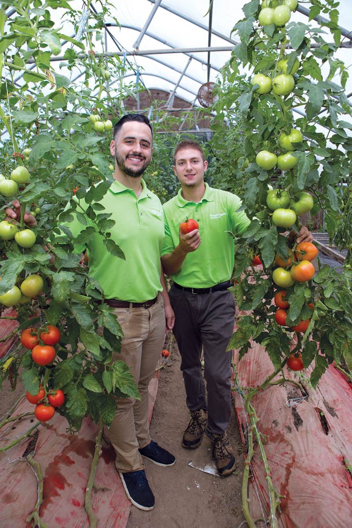 INNOVATIVE STARTUP: Johnson & Wales University graduates Brandon Monti, left, and Patrick Straus co-founded FreshConn, a farmers market delivery service in Providence, to innovate the way produce is sold, increase sales to artisan producers and decrease food insecurity.
/ PBN FILE PHOTO/KATE WHITNEY LUCEY INNOVATIVE STARTUP: Johnson & Wales University graduates Brandon Monti, left, and Patrick Straus co-founded FreshConn, a farmers market delivery service in Providence, to innovate the way produce is sold, increase sales to artisan producers and decrease food insecurity.
/ PBN FILE PHOTO/KATE WHITNEY LUCEY