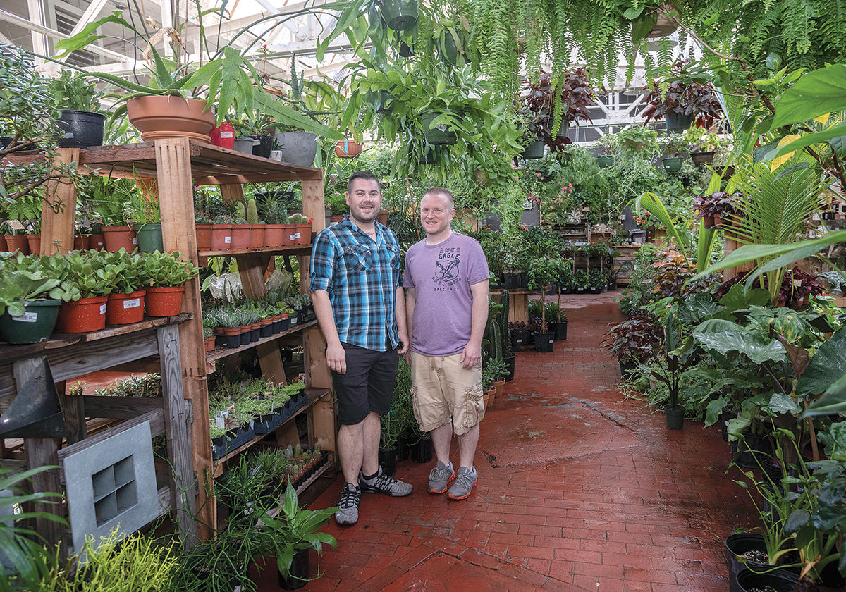 Jordan's Jungle where the hard-to-find grow