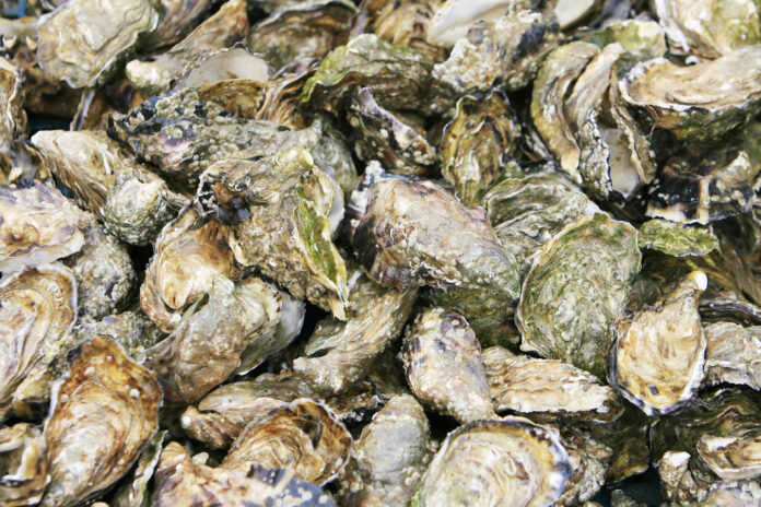 FOOD EXPORT USA - NORTHEAST has received a multi-year $20 million grant that will largely be used to promote the Northeast seafood industry suppliers. / BLOOMBERG NEWS FILE PHOTO/CAROLINE BLUMBERG FOOD EXPORT USA - NORTHEAST has received a multiyear $20 million grant that largely be used to promote Northeast seafood industry suppliers. / BLOOMBERG NEWS FILE PHOTO/CAROLINE BLUMBERG