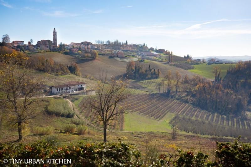 G.D. Vajra 'Albe' Barolo 2020 3.0L :: Italian Red