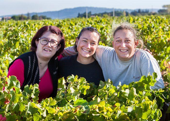 Domaine du Cayron Gigondas Grenache 2022 :: Rhone Blend Red