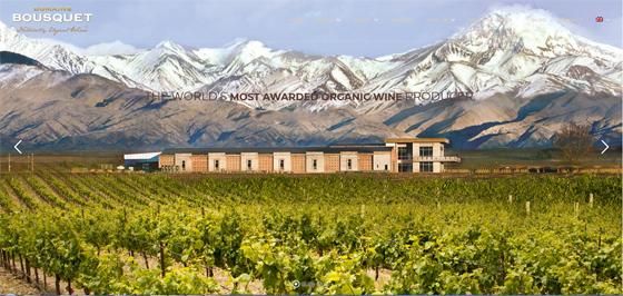 Domaine Bousquet Organic Cabernet Sauvignon 2024 :: Cabernet Sauvignon
