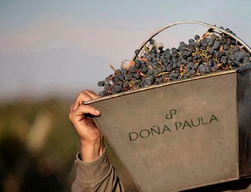 Dona Paula 'Los Cardos' Malbec 2024 :: Malbec