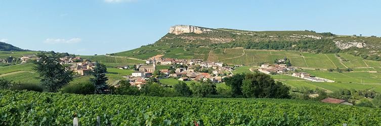 Vincent 'Marie Antoinette' Pouilly Fuisse 2022 :: Burgundy White