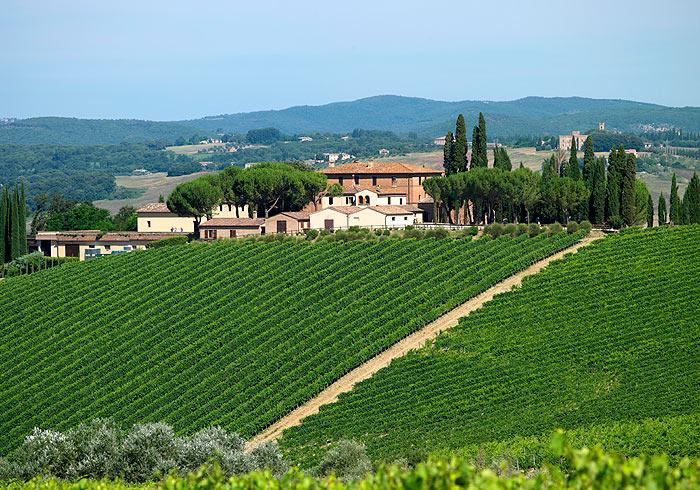 Altesino Brunello di Montalcino 2020 :: Italian Red