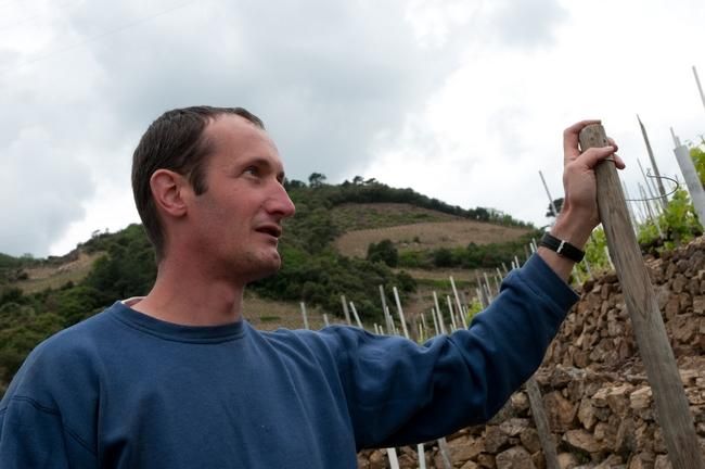 Vincent Paris Crozes-Hermitage Rouge 2023 :: Shiraz / Syrah