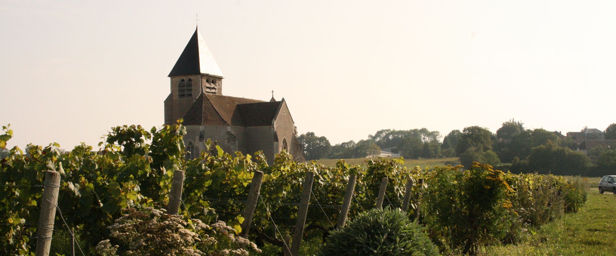 Jean-Marc Brocard Dom. Ste. Claire Chablis 2018 :: Burgundy White