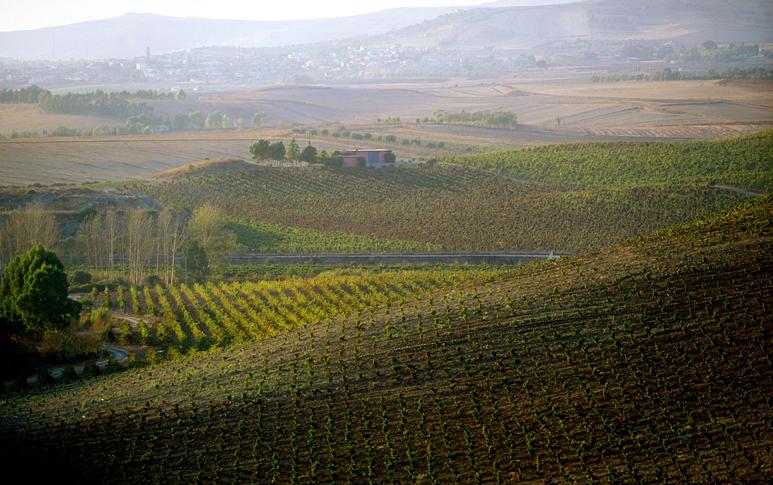 Argiolas is Argiolas Vermentino di Sardegna 2024 :: Italian White