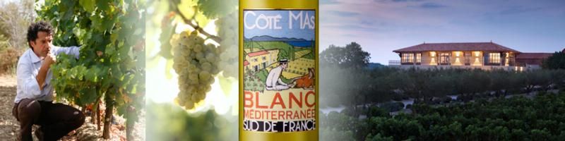 Cote Mas Syrah Grenache 2024 1.0L :: Languedoc-Roussillon Red
