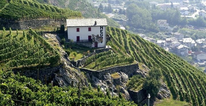 Nino Negri 'Inferno' Valtellina Superiore 2020 :: Italian Red