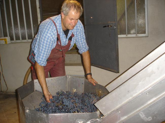 Aurelio Settimo Dolcetto D'Alba 2021 :: Italian Red