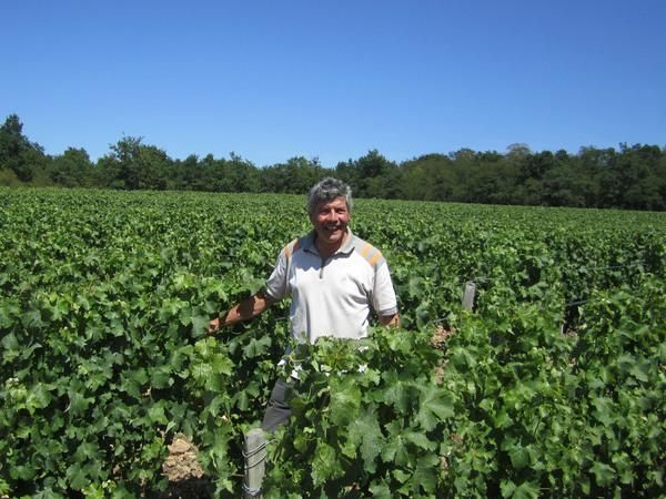 Cailbourdin 'Les Racines' Pouilly-Fume 2023 :: Loire White