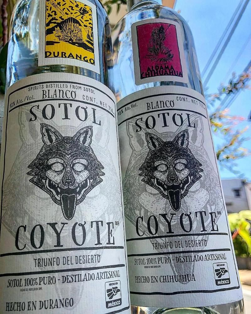 Coyote Sotol Blanco Durango 100pf :: Tequila