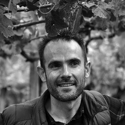 Camino Roca Altxerri Txakoli 2024 :: Spanish White