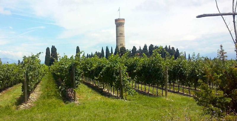 Ca Dei Frati I Frati Lugana DOC 2024 :: Italian White