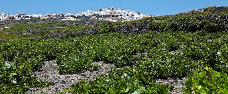 Artemis Karamolegos Cyclades Mandila Terra Nera Red 2022 :: Other