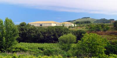 Bodegas Ateca 'Honoro Vera' Garnacha 2024 :: Spanish Red