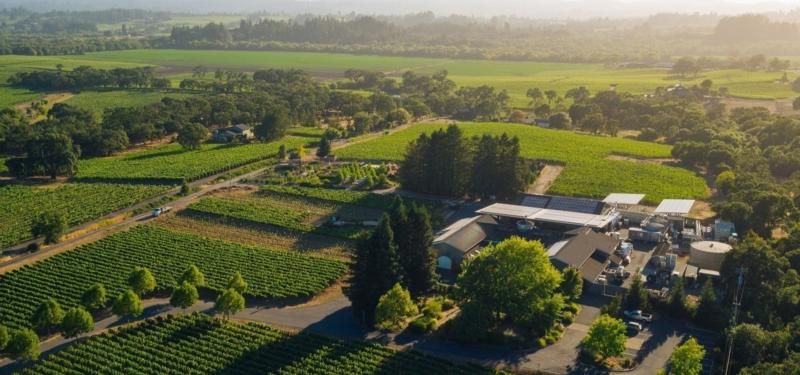 DeLoach Vineyards Zinfandel 2021 :: Zinfandel