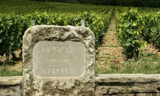 Joseph Drouhin Bourgogne Rouge 2022 :: Burgundy Red