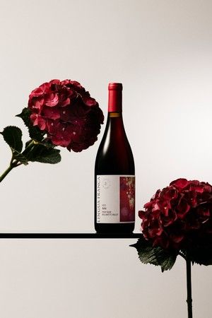 Lingua Franca Pinot Noir Avni 2022 :: Pinot Noir