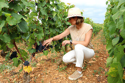 A.F. Gros Vosne-Romanee Les Chalandins 2023 :: Pinot Noir