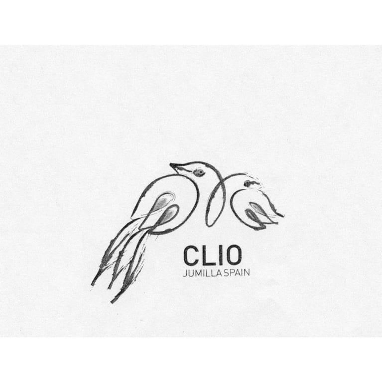 Bodegas El Nido 'Clio' Jumilla 2022 :: Spanish Red