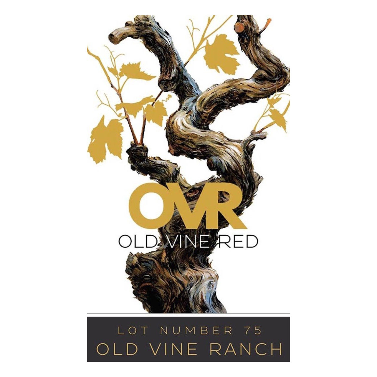Marietta Cellars 'Old Vine Ranch' Lot 75 :: Red Blends