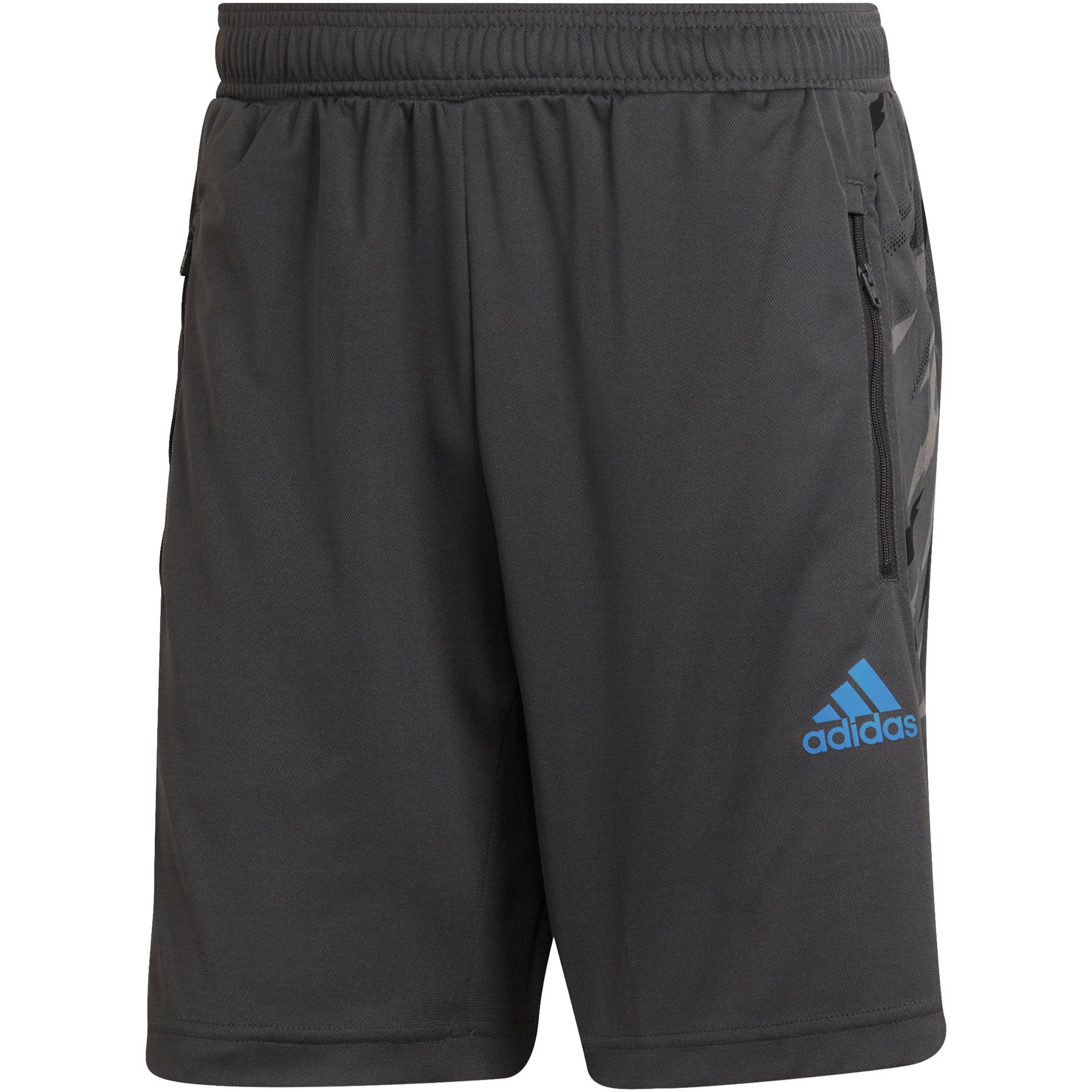 adidas Fellstr DESIGNED2MOVE Aeroready Funktionsshorts Herren