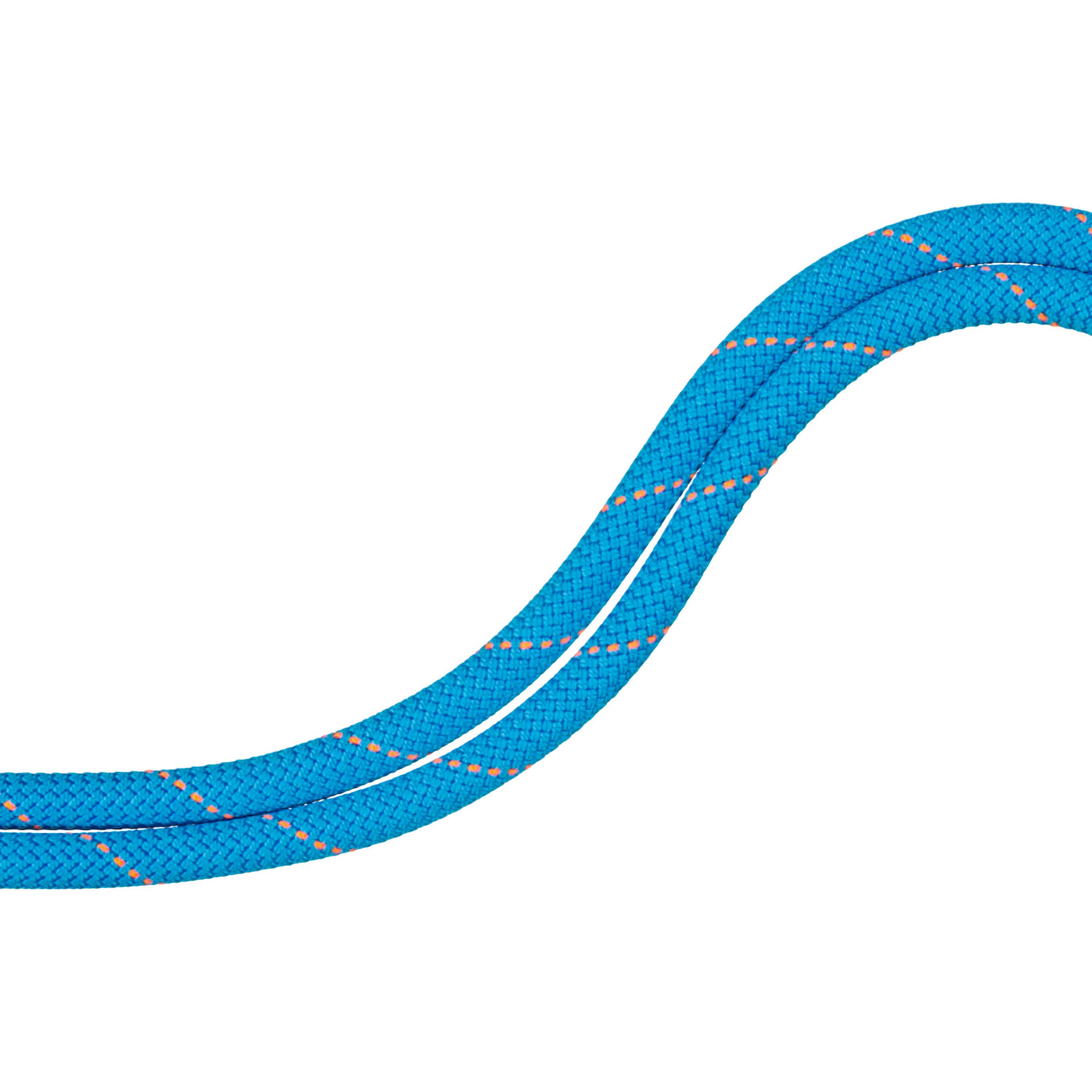 Mammut 9.9 Gym Workhorse Dry Rope Kletterseil