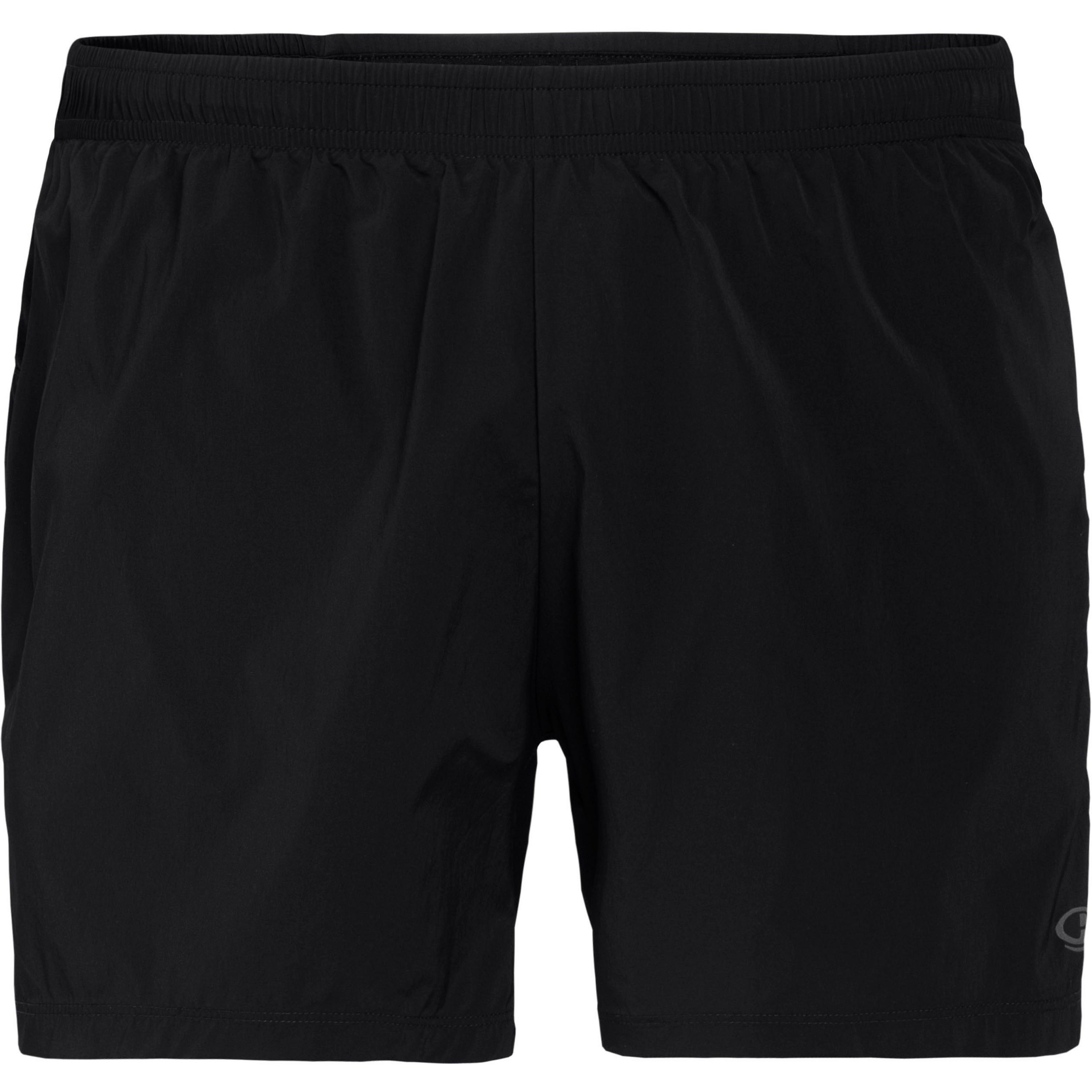 Icebreaker IMPULSE RUNNING Funktionsshorts Herren