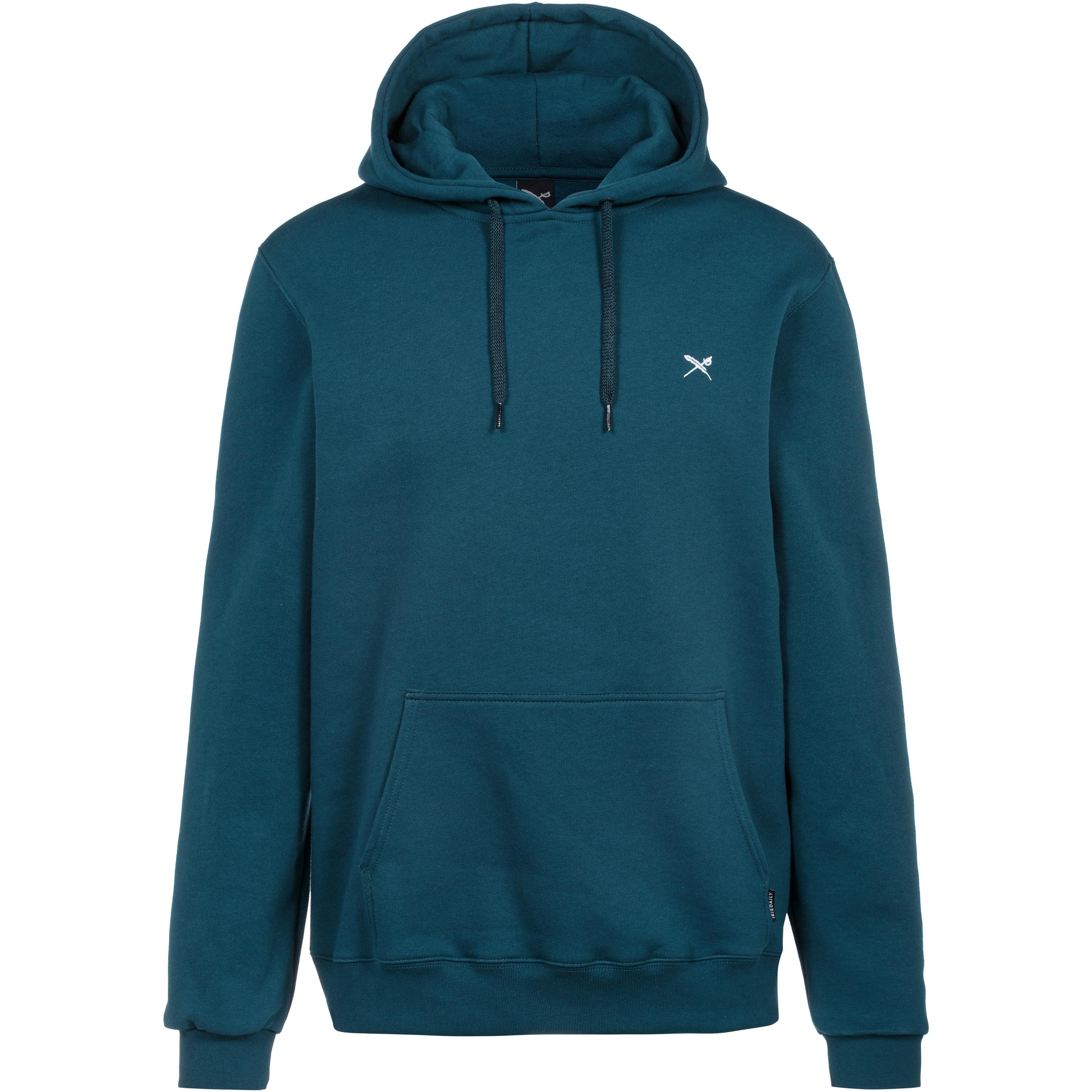 iriedaily Mini Flag 2 Hoodie Herren