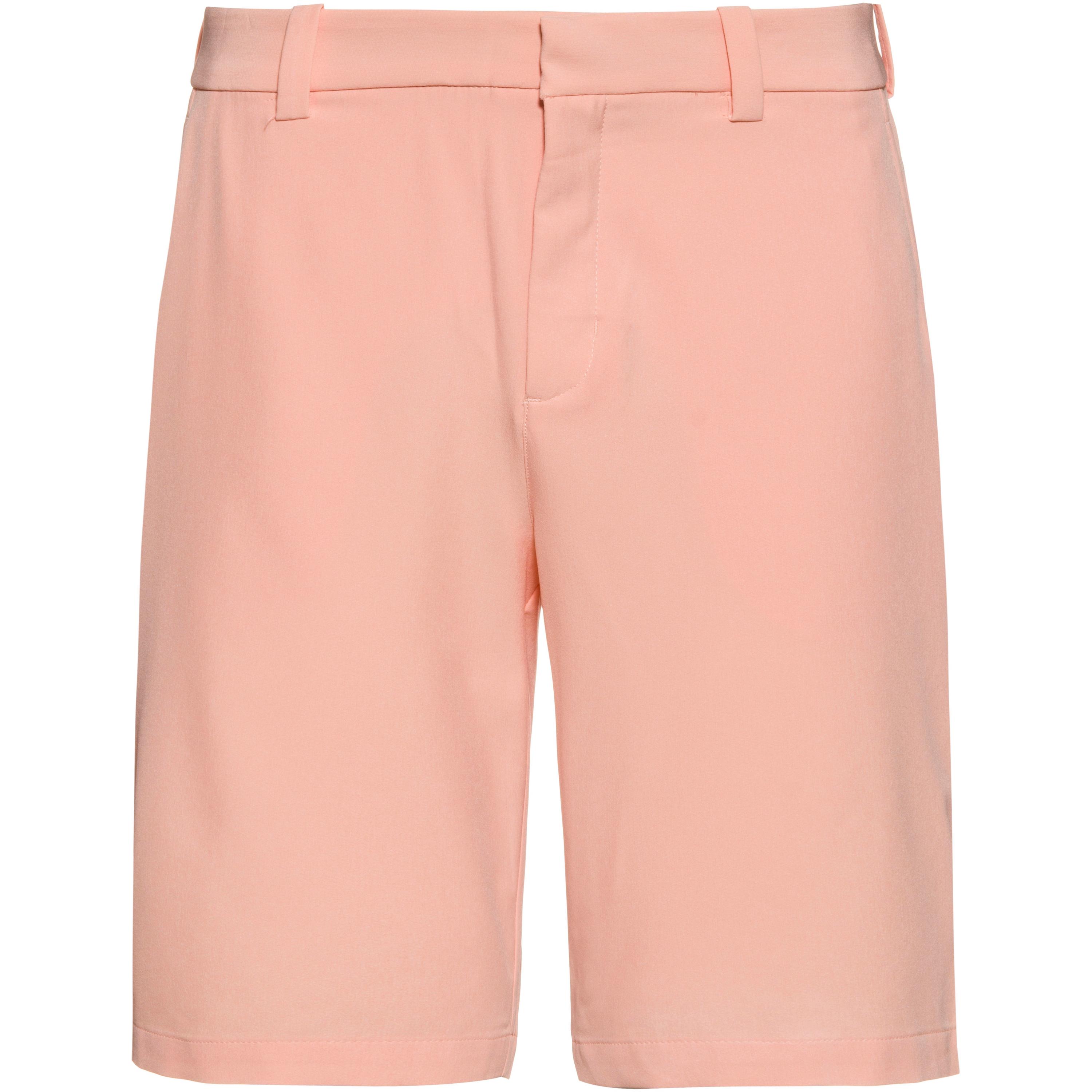 Nike Flex Funktionsshorts Herren