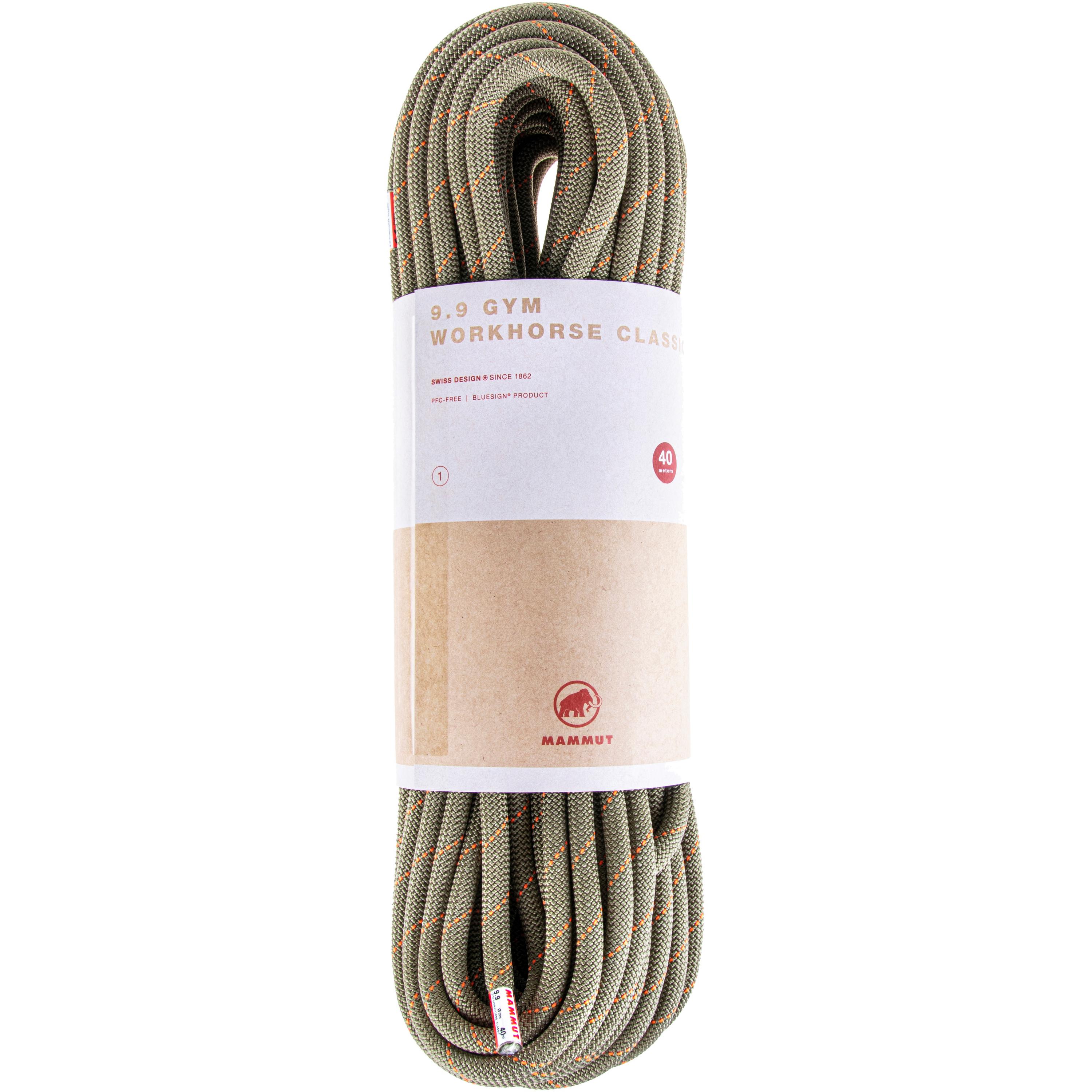 Mammut 9.9 Gym Workhorse Classic Rope Kletterseil