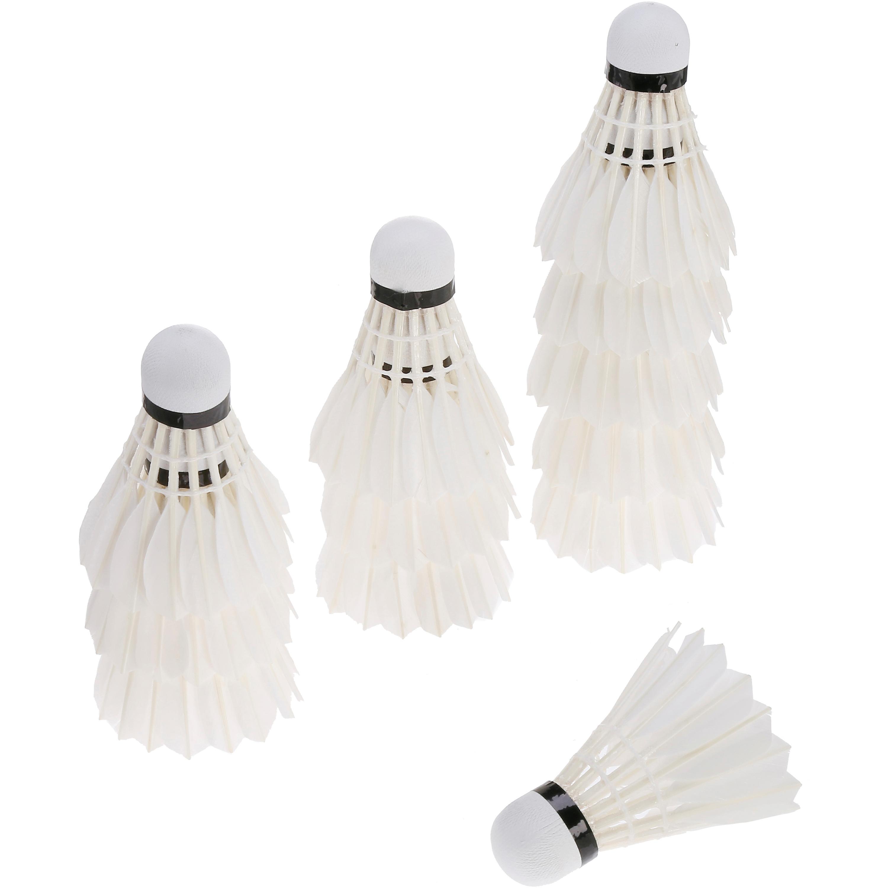 Talbot-Torro Hit750 Naturfeder 12er Dose, 77er slow Badmintonball