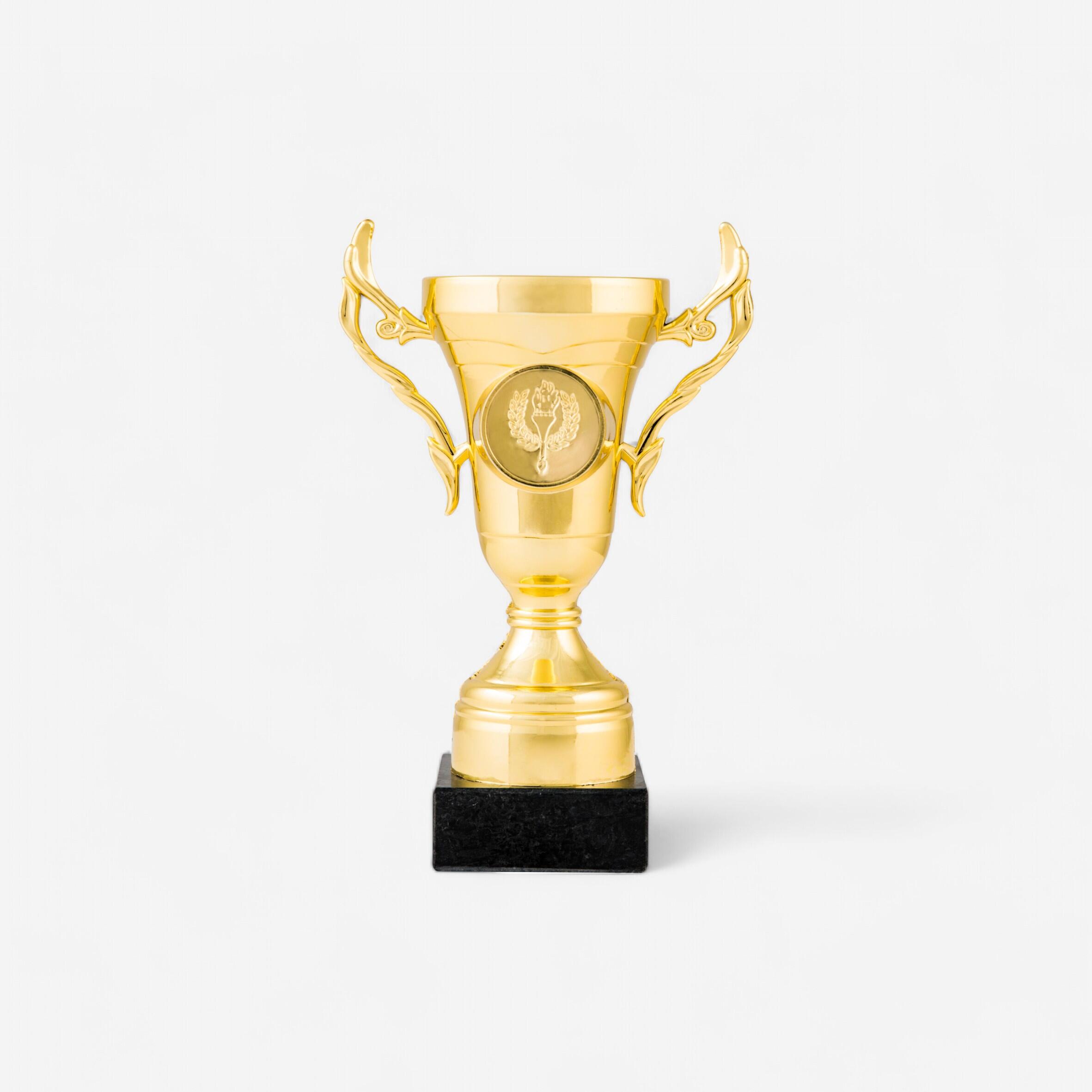 Workshop Pokal C100 16 cm gold
