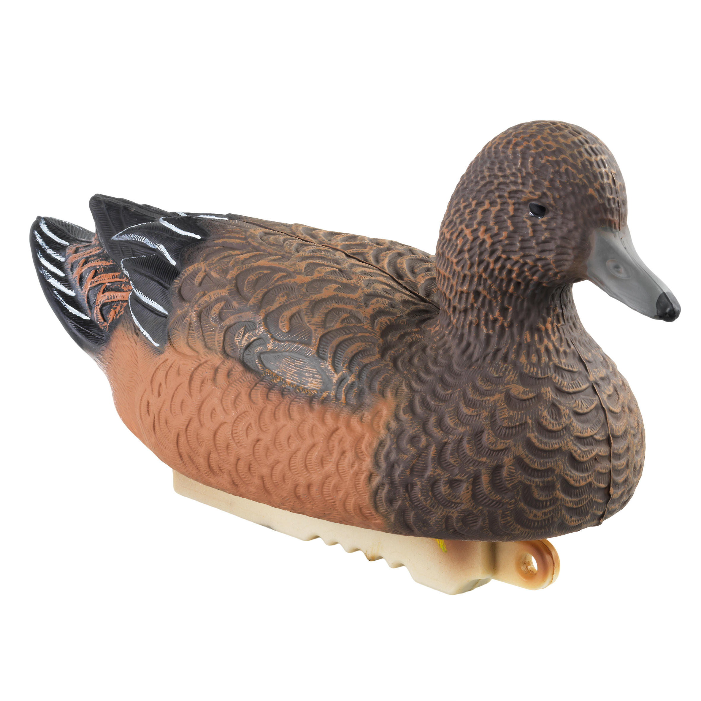 Stepland LOCKVOGEL PFEIFENTE WEIBCHEN HD