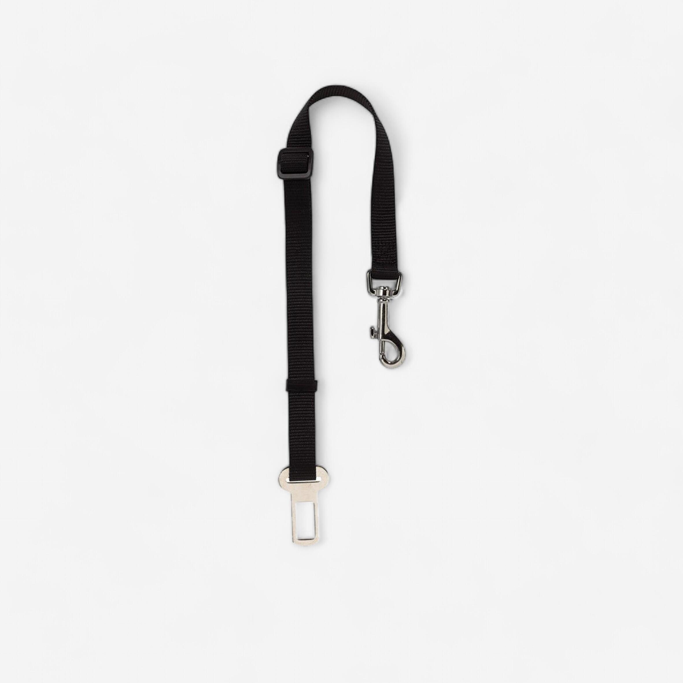 Martin Sellier Hundeleine, Sicherheitsleine