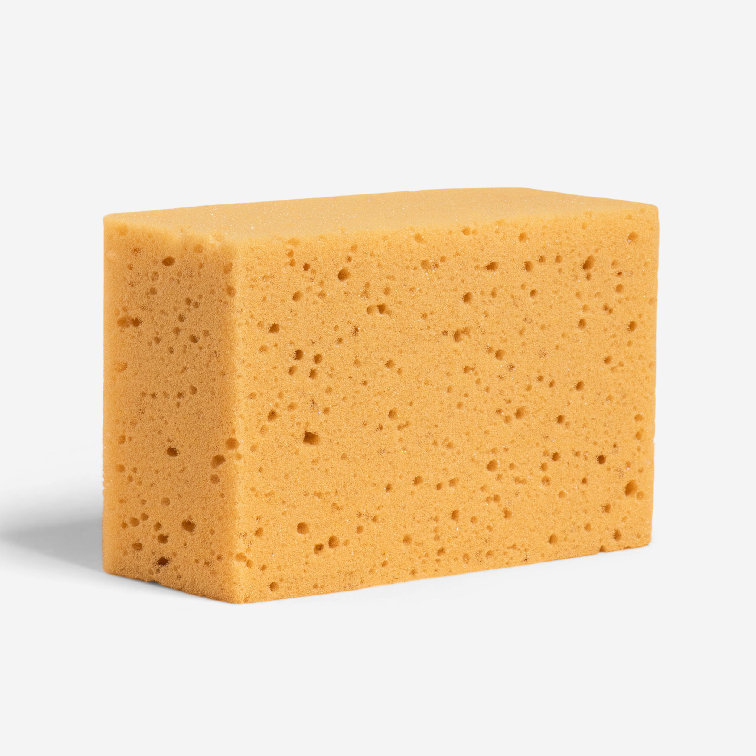 Fouganza Schwamm Reitsport für Pony und Endmaßpony