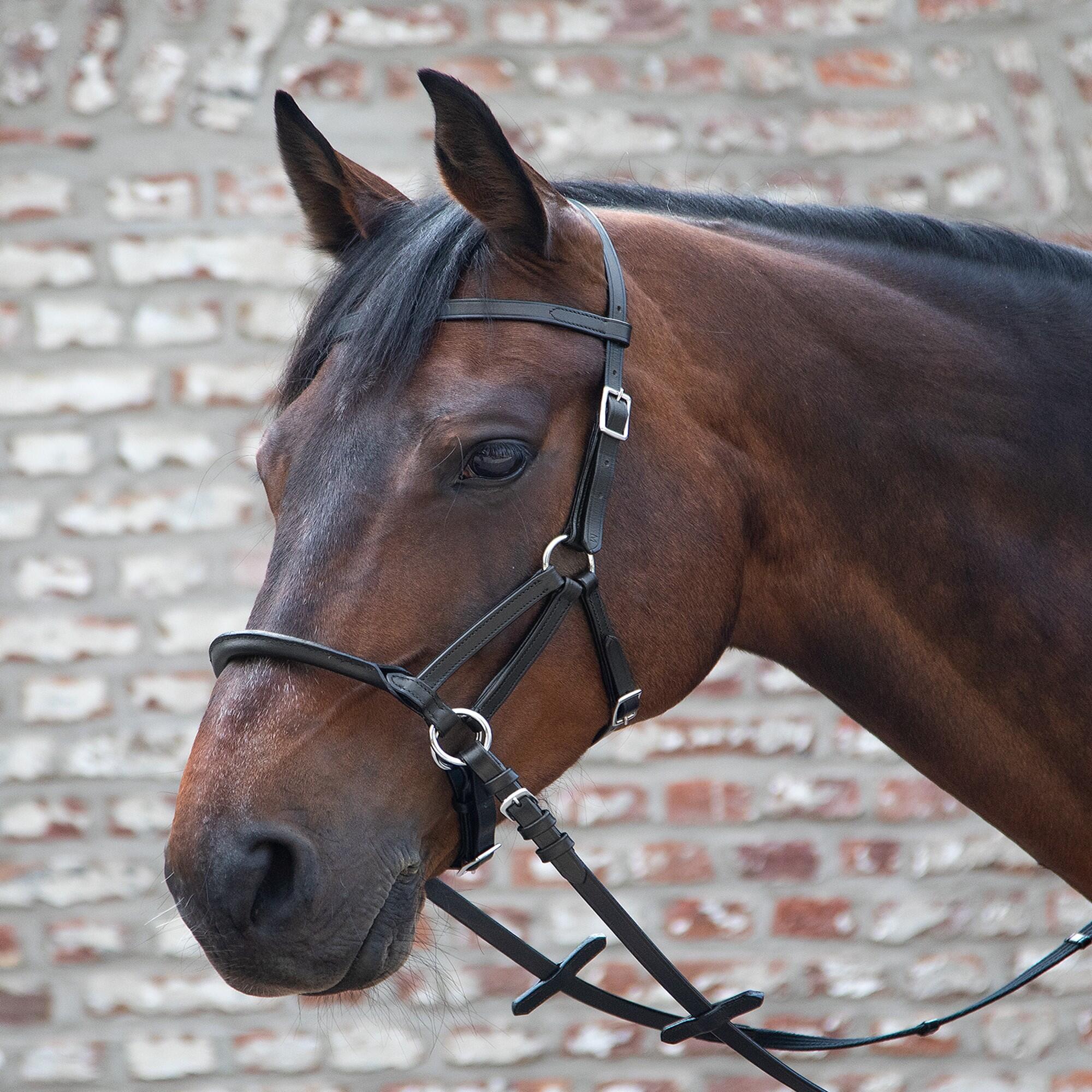 Waldhausen Linda Tellington Jones Lindel, gebisslose Trense braun, Pferd