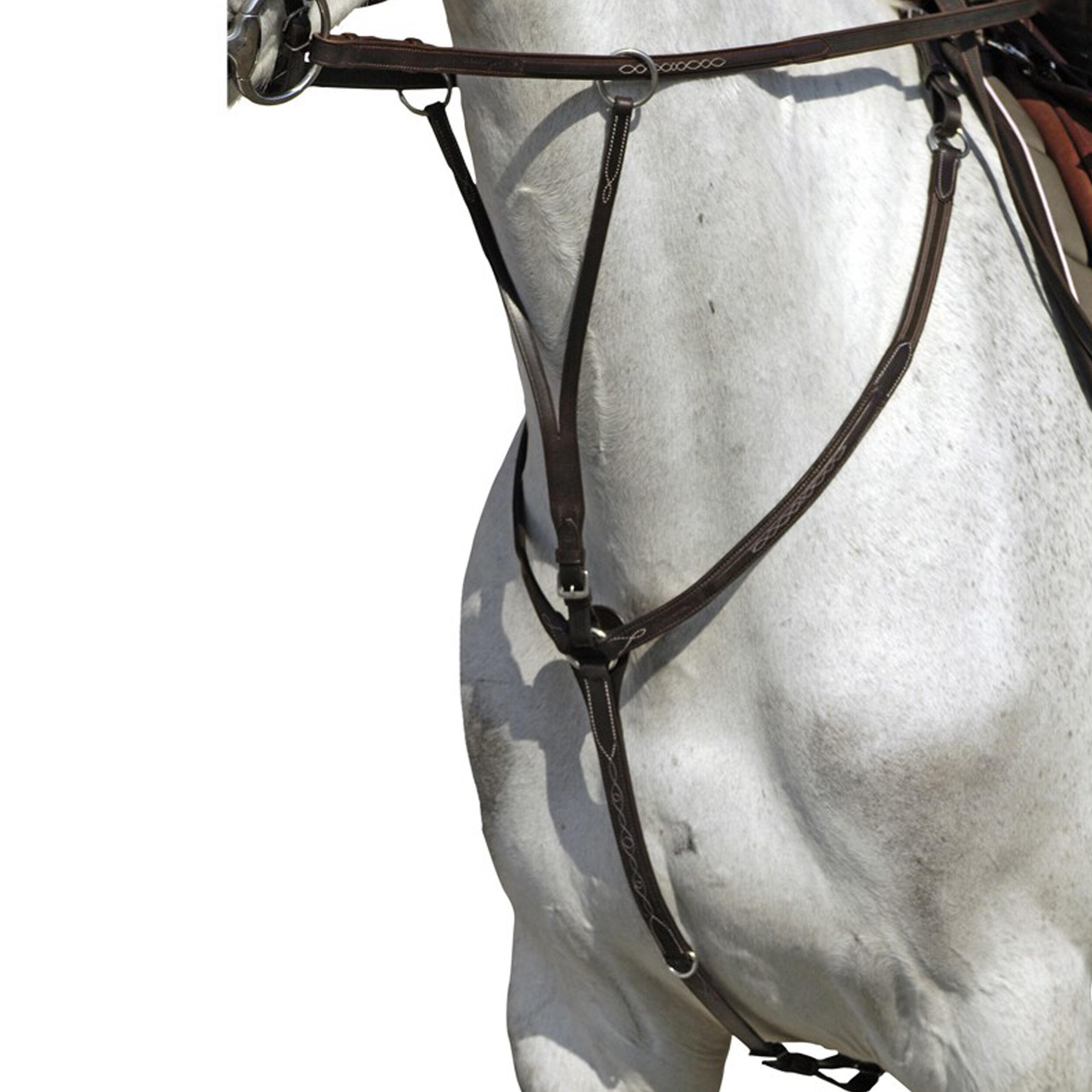 Fouganza Vorderzeug + Martingal Romeo leder Pony/Pferd schwarz