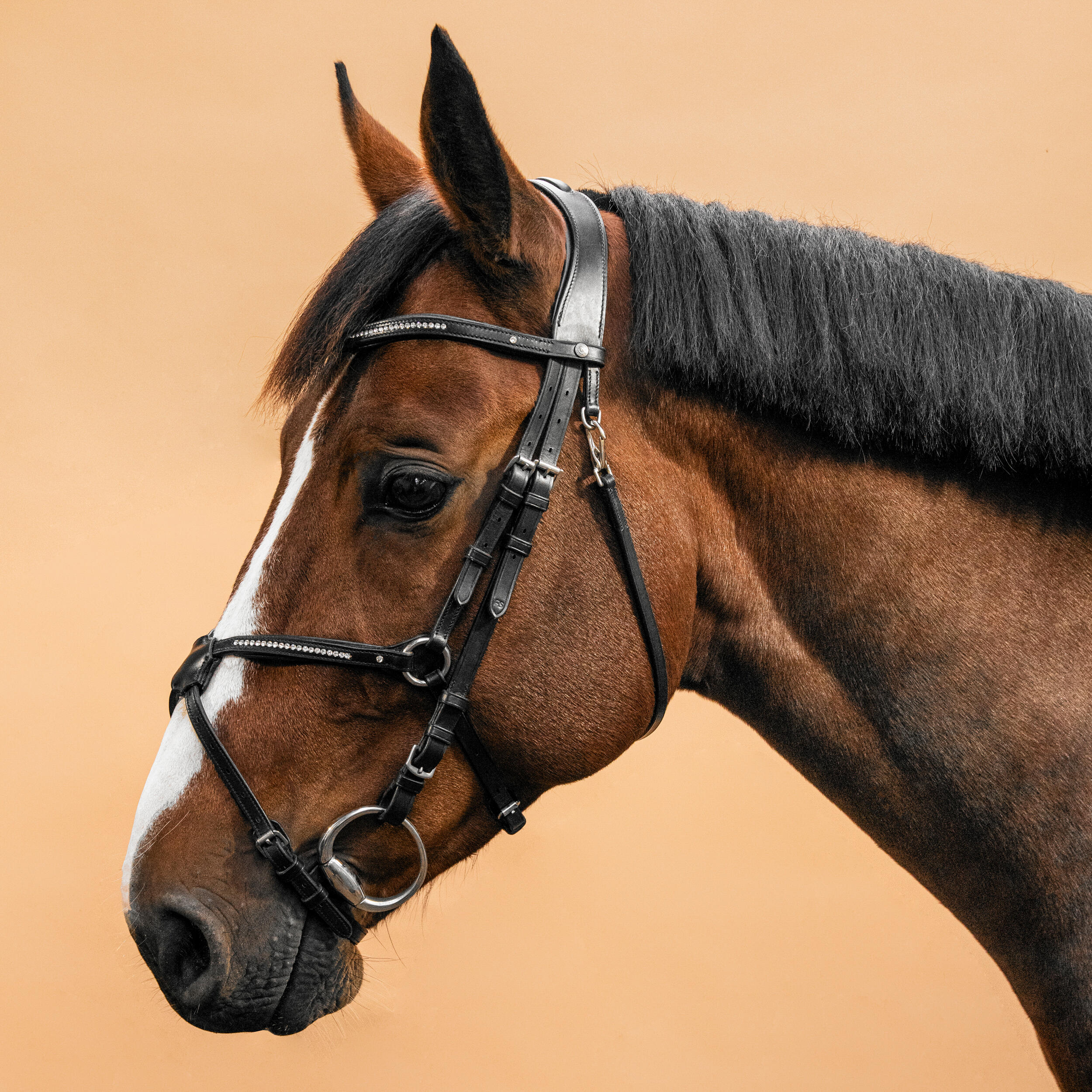 Fouganza Trense 580 mexikanisches Reithalfter Ziernähte Pony/Pferd braun