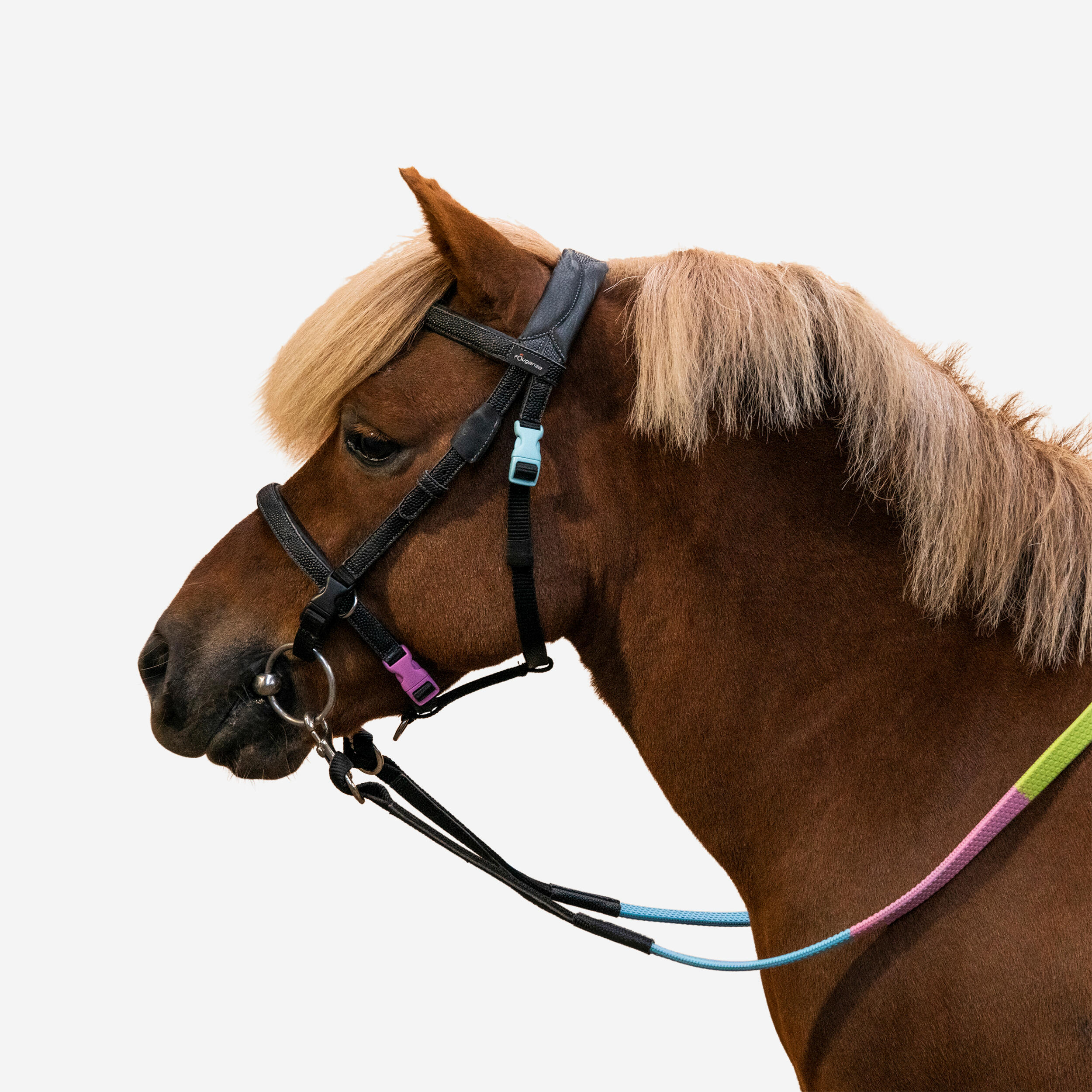 Fouganza Trense + Zügel 100 Pony schwarz