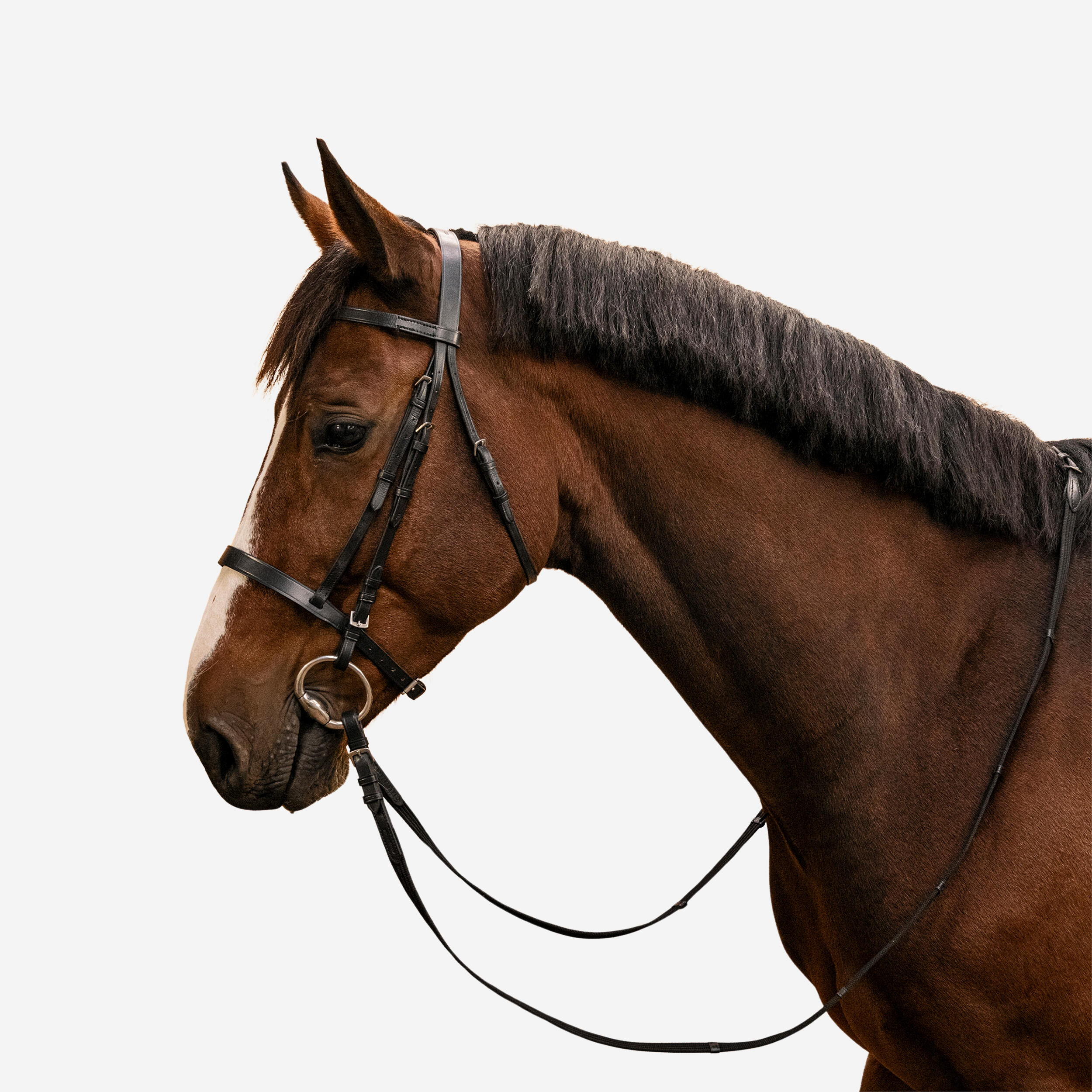 Fouganza Trense + Zügel Schooling Leder Pony/Pferd schwarz